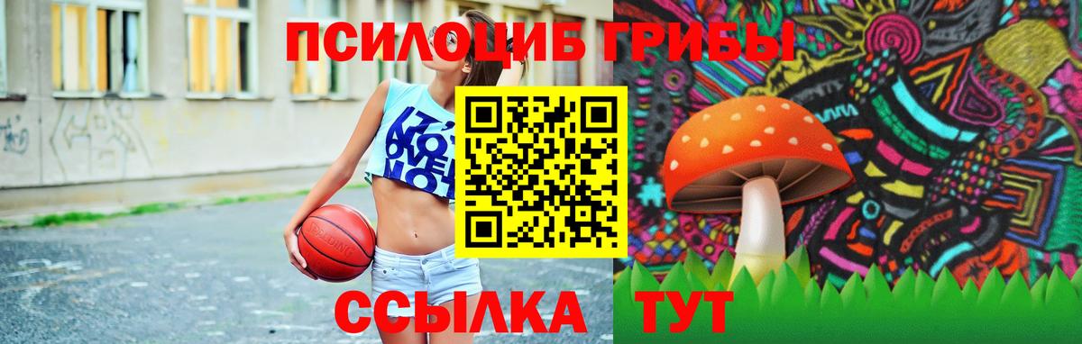 Азнакаево  Галлюциногенные грибы мицелий  Галлюциногенные грибы мухоморы  Вход с VPN 